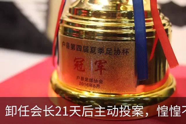 卸任会长21天后主动投案，惶惶不可终日背后藏着什么？