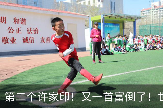 第二个许家印！又一首富倒了！世界500强也没那么强